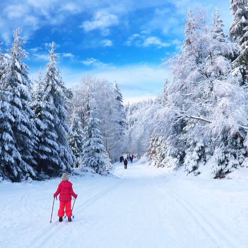 Talvinen hiihtokuva.