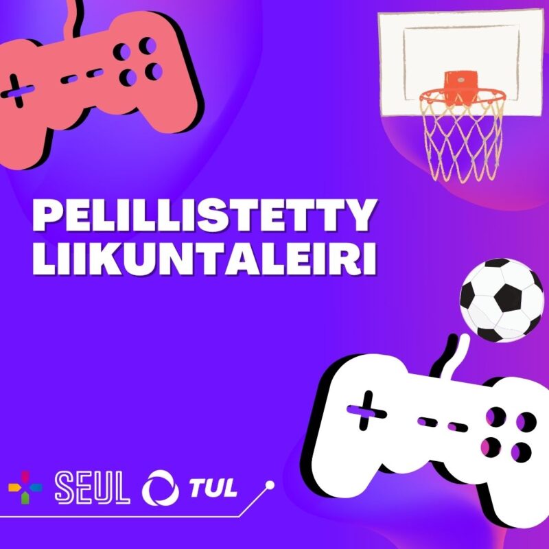 Pelillistetty Liikuntaleiri