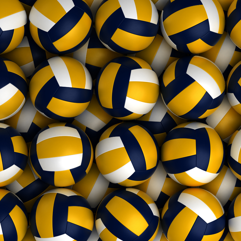 Iso kasa lentopalloja.