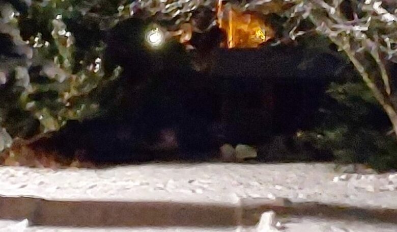 Hiihtoretki Fröötilään