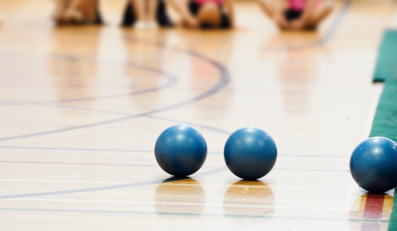 Joukkuevoimistelun lajileiri