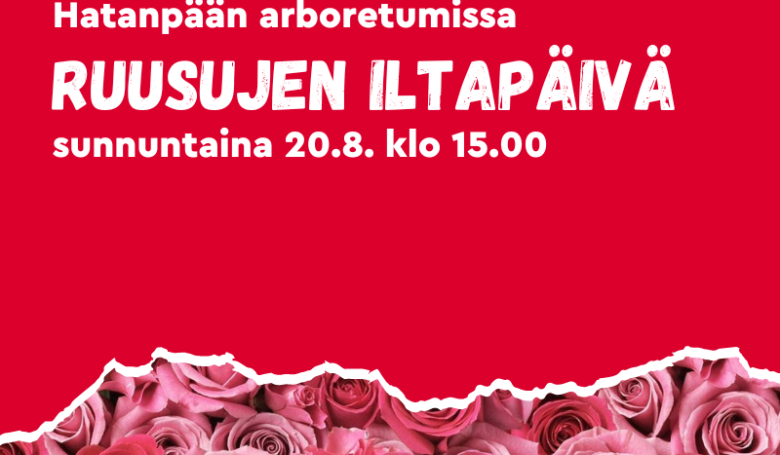 Ruusujen Iltapäivä