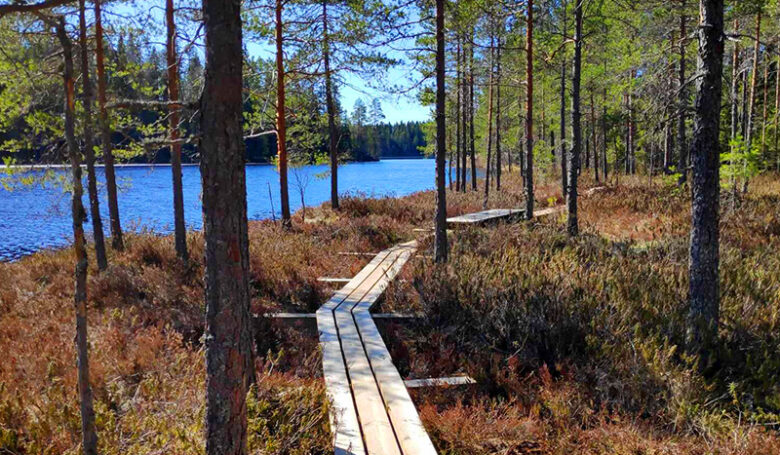 Ruskaretki Kurjenrahkan kansallispuistoon