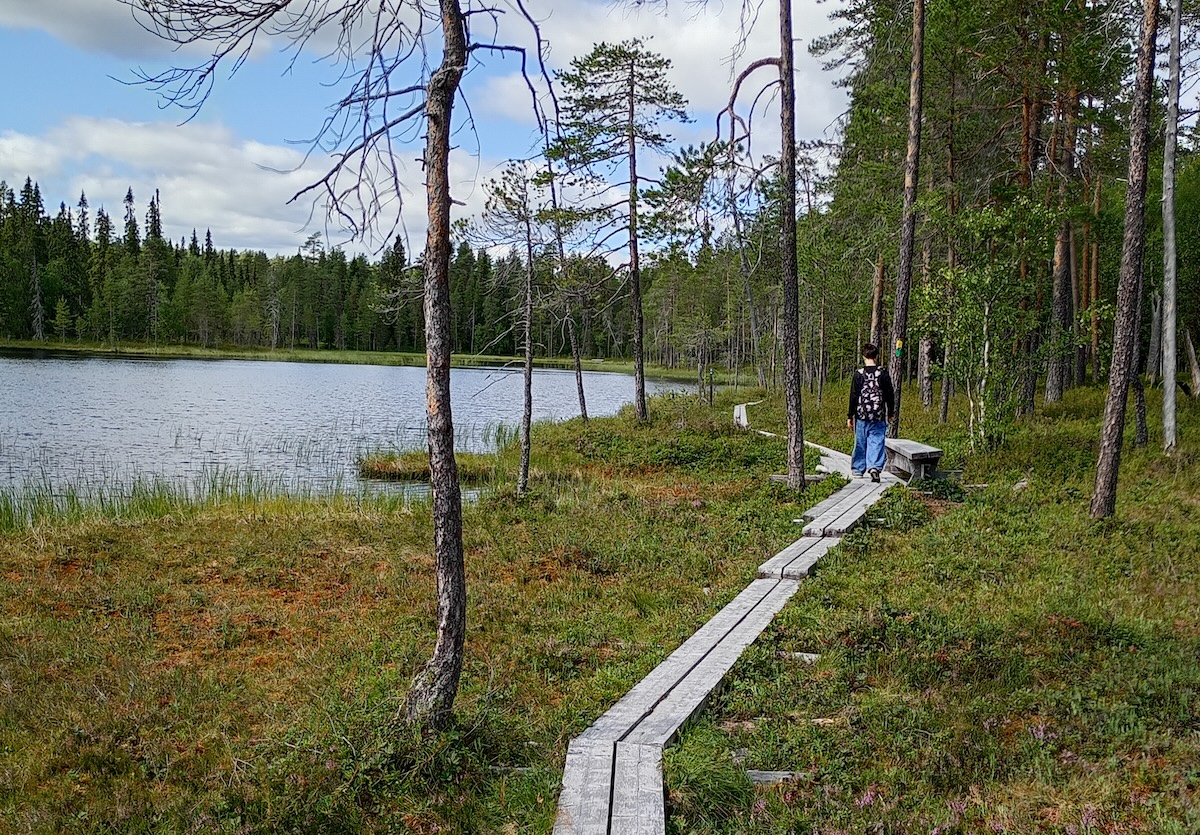 Selin kameraan oleva ihminen kävelee pitkospuita järvimaisemassa.